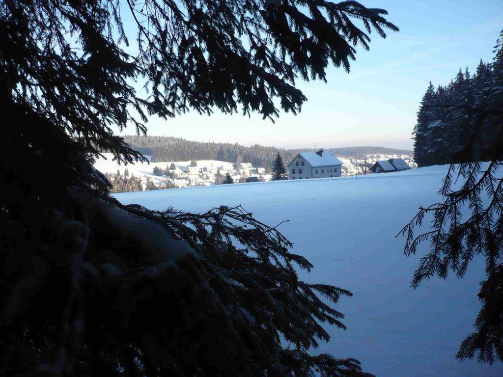 Hohengasthof Lowen - Escheck Schönwalde Eksteriør billede